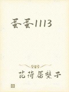 蛋蛋1113