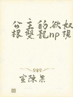 公主的欲奴h四根双龙np视频