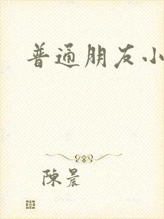 普通朋友小说