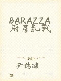 BARAZZA厨房乱战