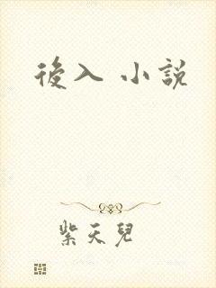 后入 小说