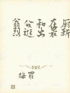 翁公和在厨房猛烈进出最新章节