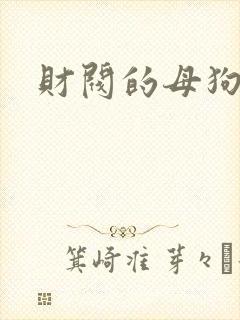 财阀的母狗们