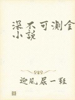 深不可测金银花小说