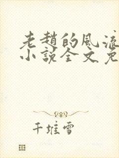 老赵的风流人生小说全文免费阅读