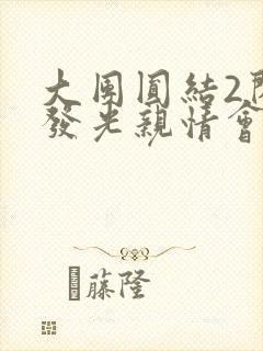 大团圆结2闪闪发光亲情会