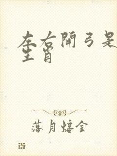 左右开弓是什么生肖