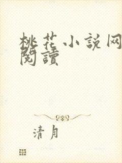 桃花小说网小说阅读