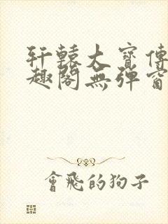 轩辕大宝传奇笔趣阁无弹窗