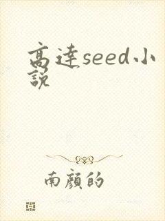高达seed小说