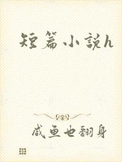 短篇小说h
