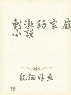 刺激的家庭乱仑小说