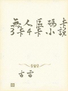 无人区码卡二卡3卡4卡小说