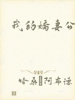 我的娇妻公务员