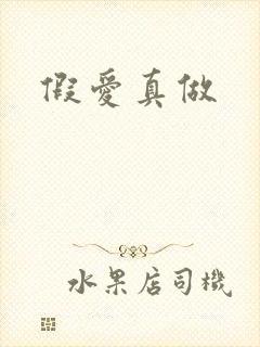 假爱真做