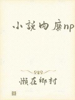 小说肉糜np