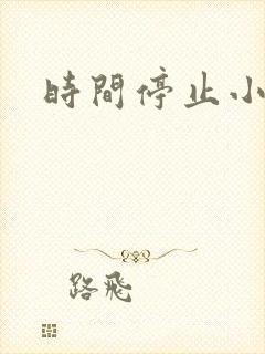 时间停止小说