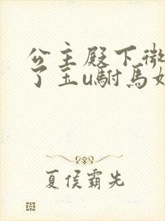 公主殿下微臣馋了玉u驸马姓傅