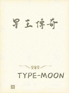 星王传奇封面