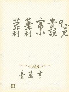 荣华富贵9小王莉莉小说免费阅读