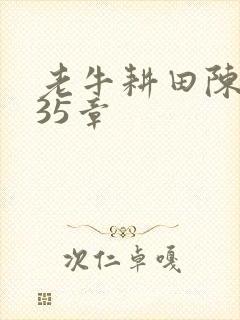 老牛耕田陈雪435章