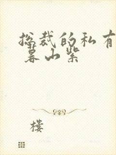 总裁的私有宝贝 暮山紫