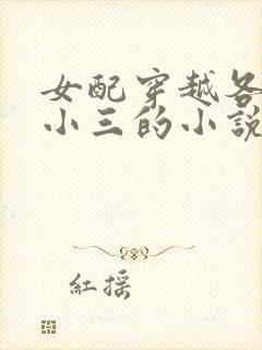 女配穿越各个做小三的小说