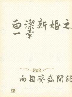 白洁新婚之夜第一章