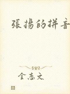 张扬的拼音封面