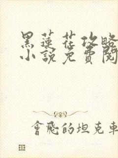 黑莲花攻略手册小说免费阅读全文