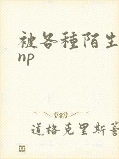 被各种陌生人 np