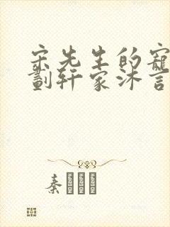 宋先生的宠妻计划轩家沐言