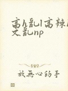 高h乱l高辣h文乱np