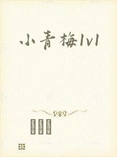 小青梅1v1