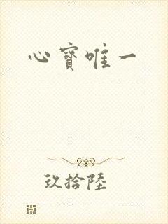 心宝唯一