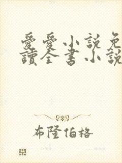 爱爱小说免费阅读全书小说乡村