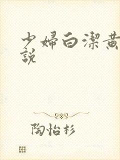 少妇白洁黄色小说