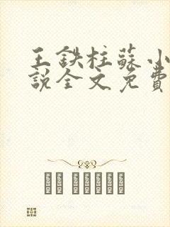 王铁柱苏小汐小说全文免费阅读最新章节