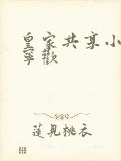 皇家共享小公主宁欢