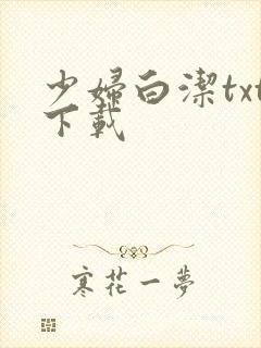少妇白洁txt下载