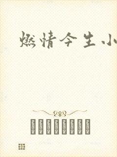 燃情今生小说
