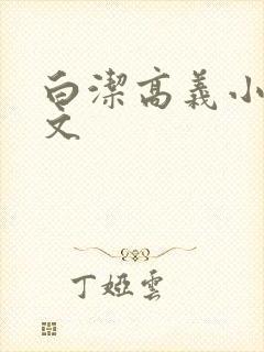 白洁高义小说全文