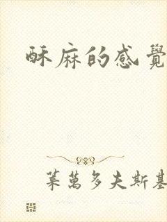 酥麻的感觉小说