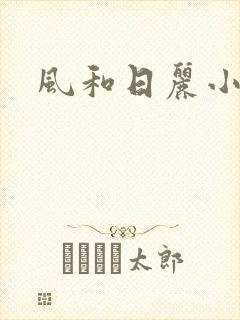风和日丽小说