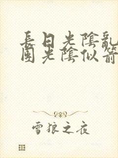 长日光阴乱作一团光阴似箭封面