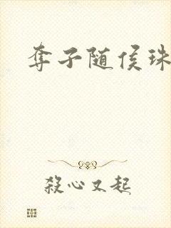 夺子随侯珠封面