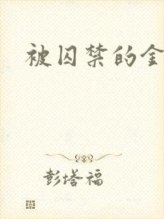 被囚禁的金丝雀