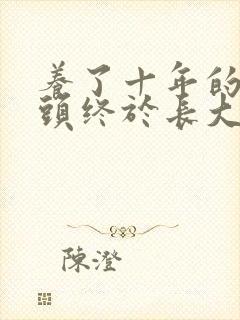 养了十年的小丫头终于长大了