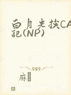 白月光挨CAO记(NP)