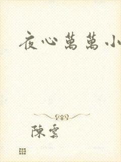 夜心万万小说